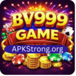 BV999 Game